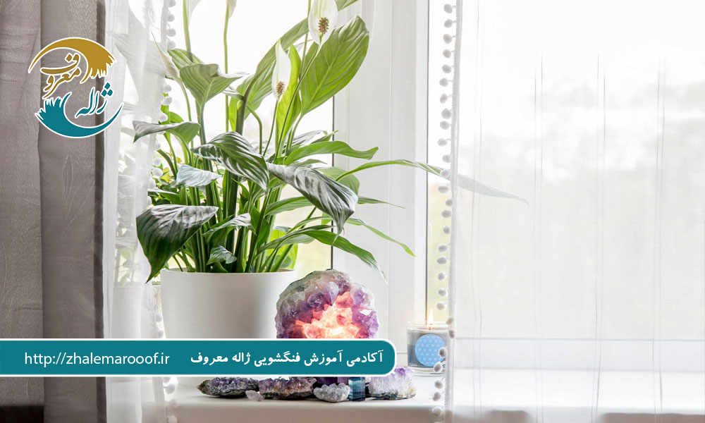 چطور محل ثروت و رفاه در خانه پیدا کنیم؟